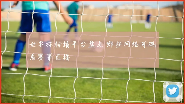 世界杯转播平台盘点 哪些网络可观看赛事直播