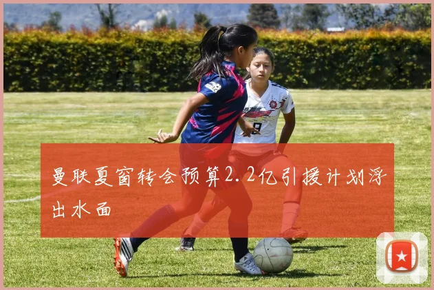 曼联夏窗转会预算2.2亿引援计划浮出水面