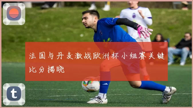 法国与丹麦激战欧洲杯小组赛关键比分揭晓