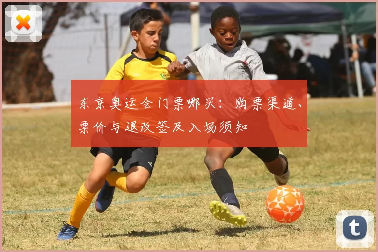 东京奥运会门票哪买：购票渠道、票价与退改签及入场须知